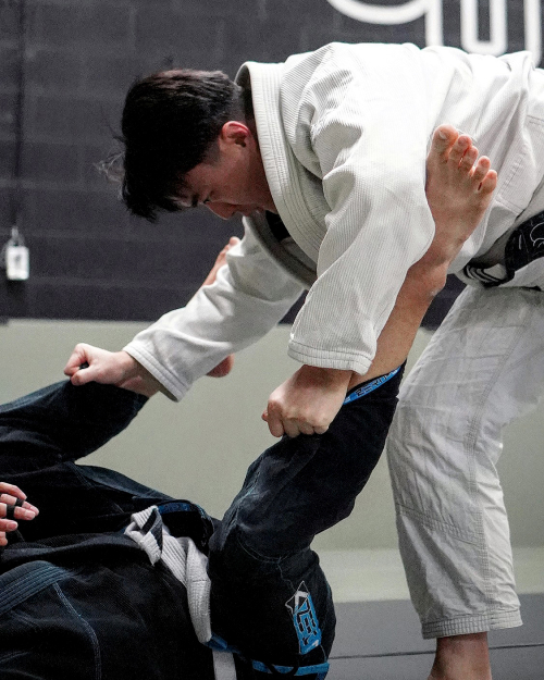 スポーツ・フィットネス The Nth Dimension Of Brazilian Jiu-Jitsu スポーツ・フィットネス The Nth Dimension Of Brazilian Jiu